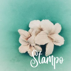gessetto stampo ibiscus cod. 1369A stampi creativi