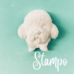 gessetto stampo muso cod. A0010  stampi creativi