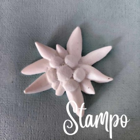 gessetto stampo stella alpina cod. 222A stampi creativi